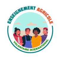 Badge Volontaire International
